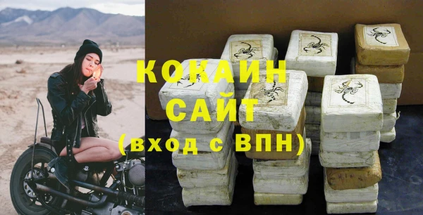 дживик Няндома