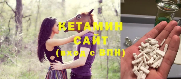 дживик Няндома
