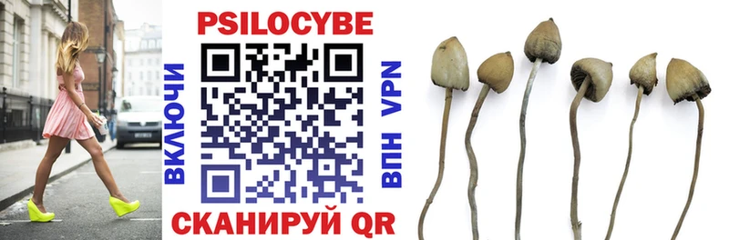 Псилоцибиновые грибы Psilocybine cubensis Сольцы