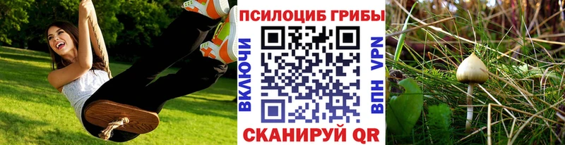 Галлюциногенные грибы мицелий  наркошоп  Сольцы 