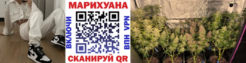 Бошки марихуана ГИДРОПОН  блэк спрут   Сольцы 